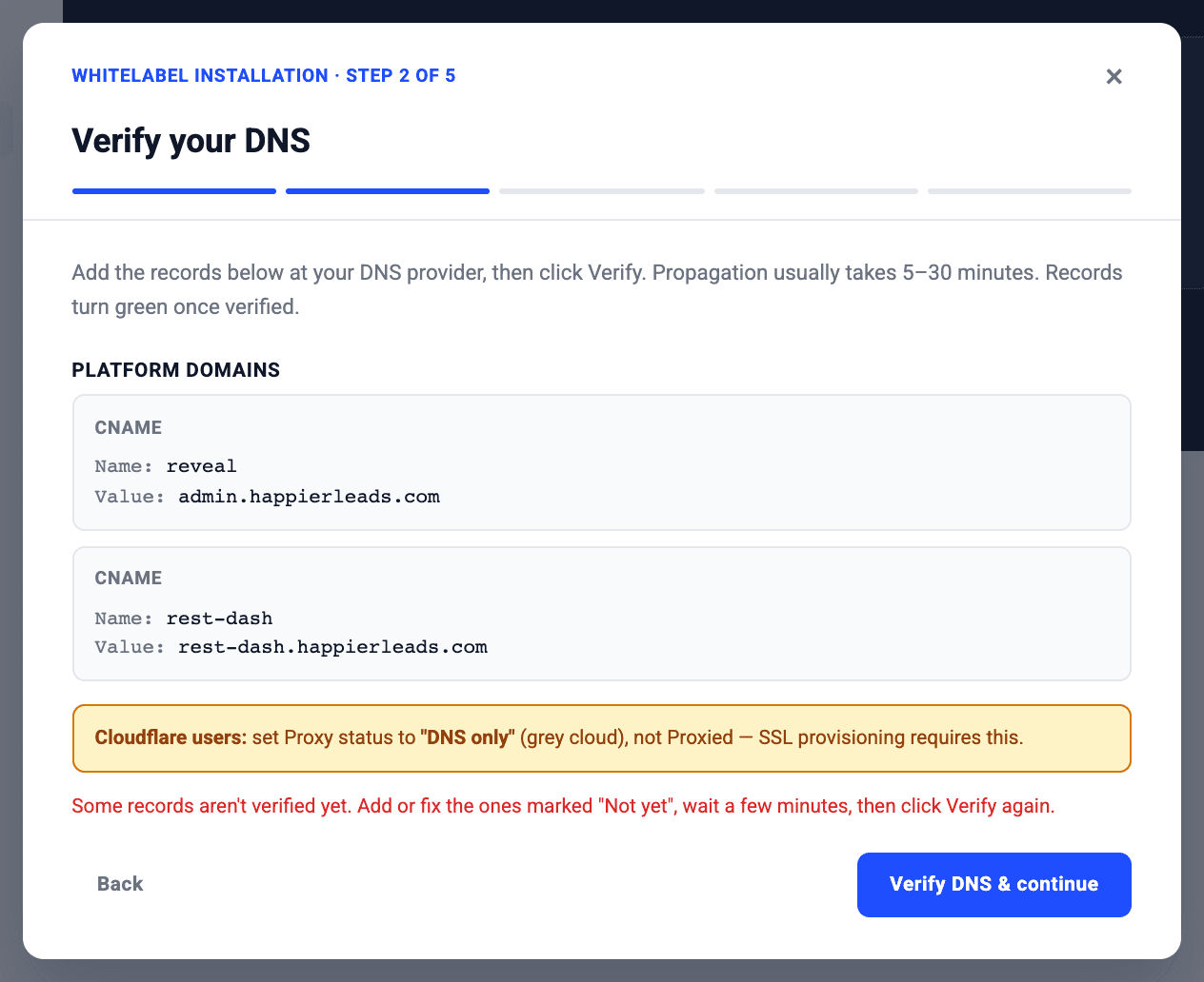 Verify your DNS